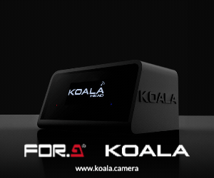 FOR-A KOALA Advert Sept 2023