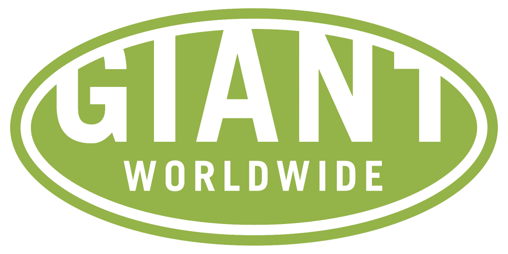 Testronic and Giant Interactive Rebrand as Giant Worldwide